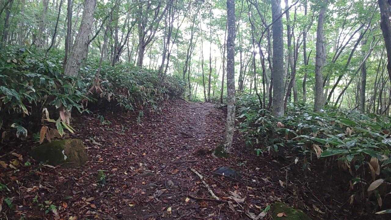 恐羅漢山登山口-夏焼峠-広場-台所原-恐羅漢山-旧羅漢山- 縦走コースの写真
