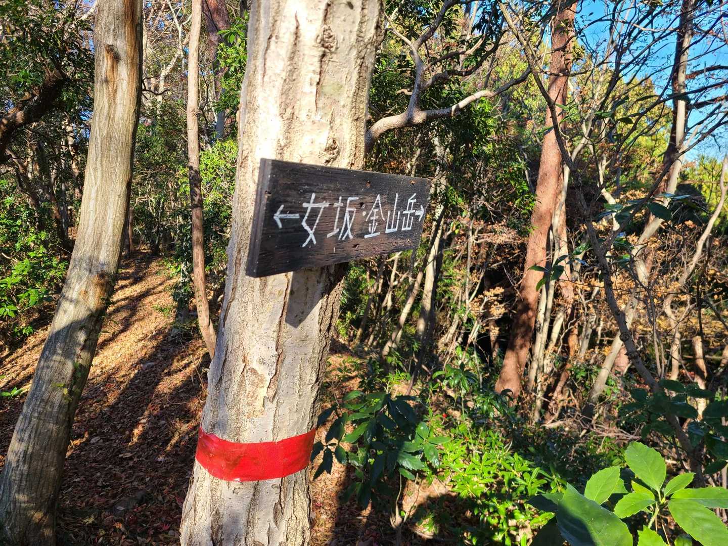 石尊山-金山岳-石尊山登山口 周回コースの写真