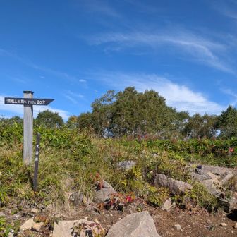 南峰
山頂かと思いきや、まだ先でした😲