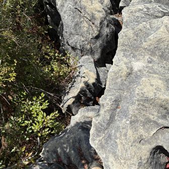 なかなかの怖さ