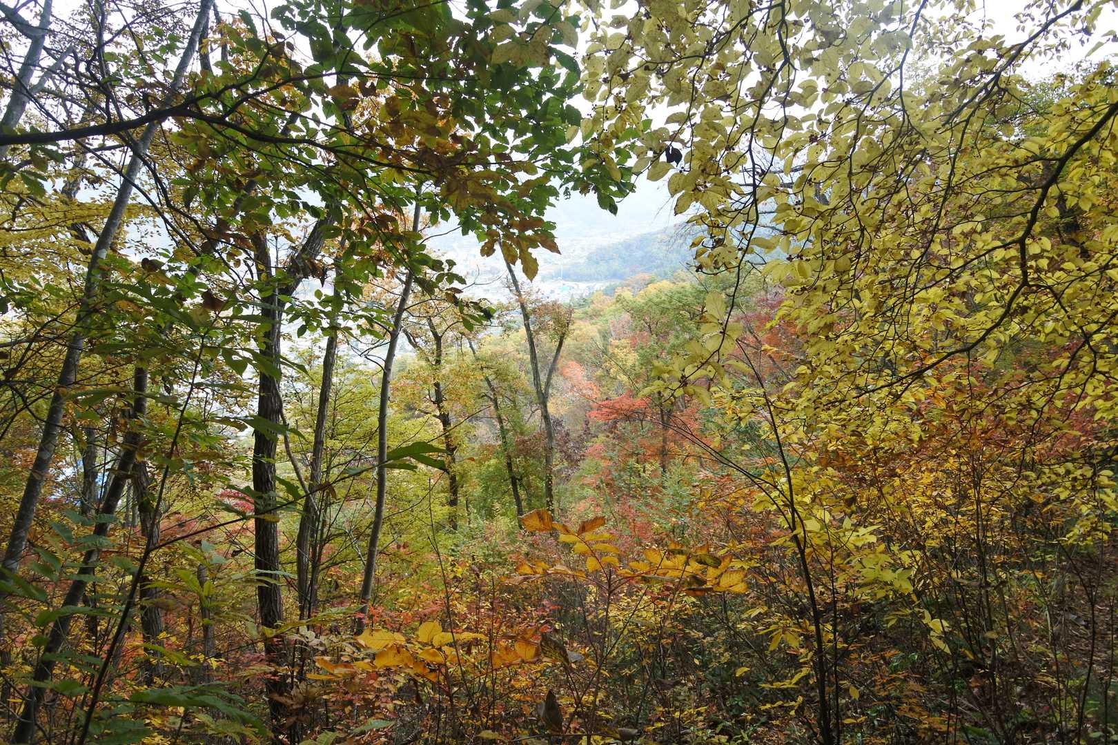 町のそばとは思えないほど深山のように見える