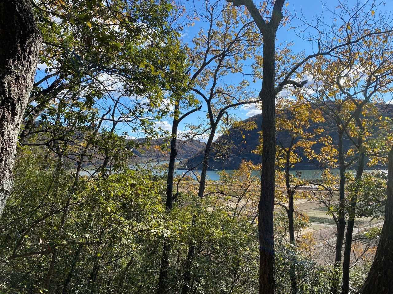 龍神山 往復コースの写真