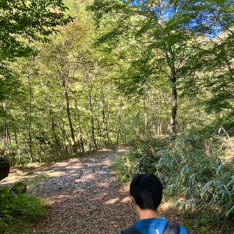 順調です🚶