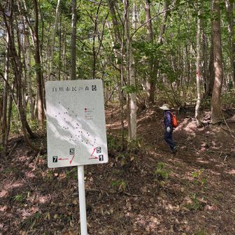 6番標識。この先5番方向へ