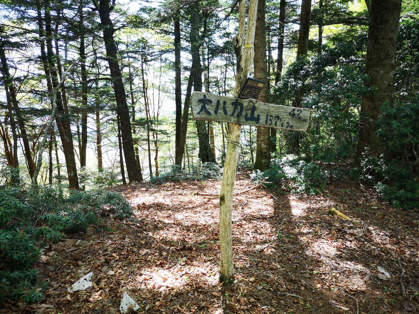 大ハカ山