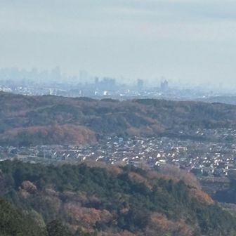 住宅街とビル群🏘️🏙️