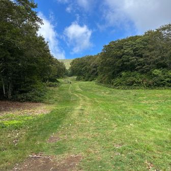 スキー場のゲレンデが登山道