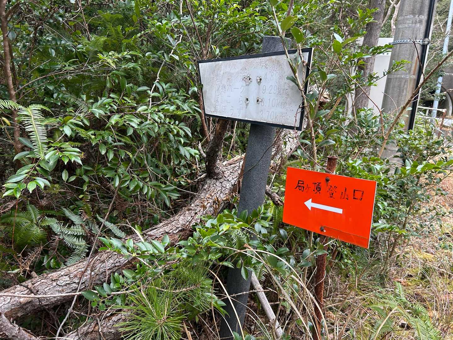トンネル手前に登山口