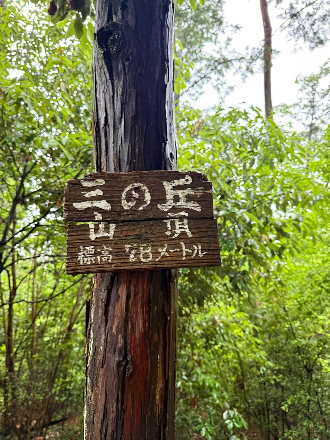 双ヶ岡登り口-双ヶ岡-双ヶ岡登り口 縦走コースの写真