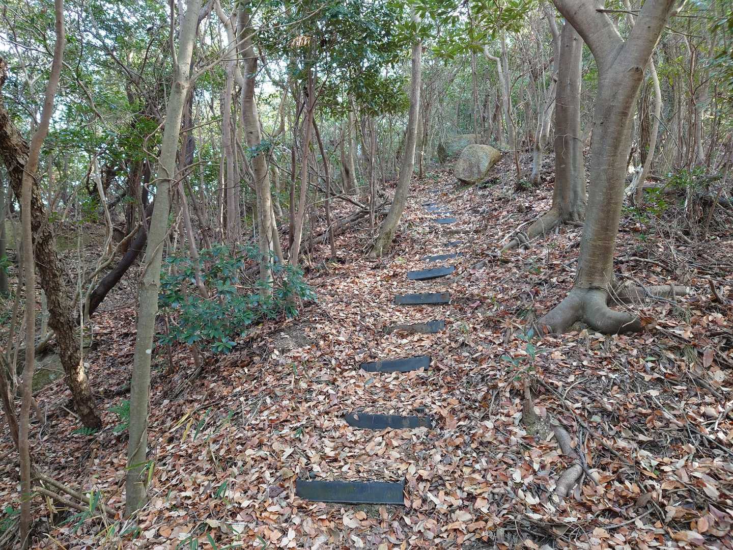 赤崎神社-小浜山登山入口-小浜山 往復コースの写真