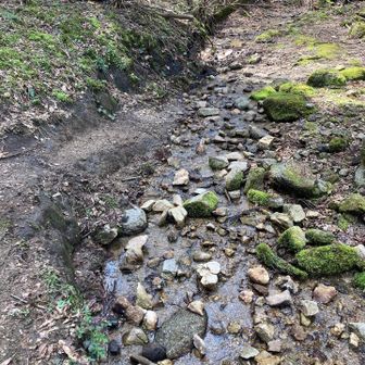 小川の隣をご機嫌で歩く