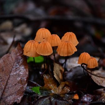 🧡横から見て