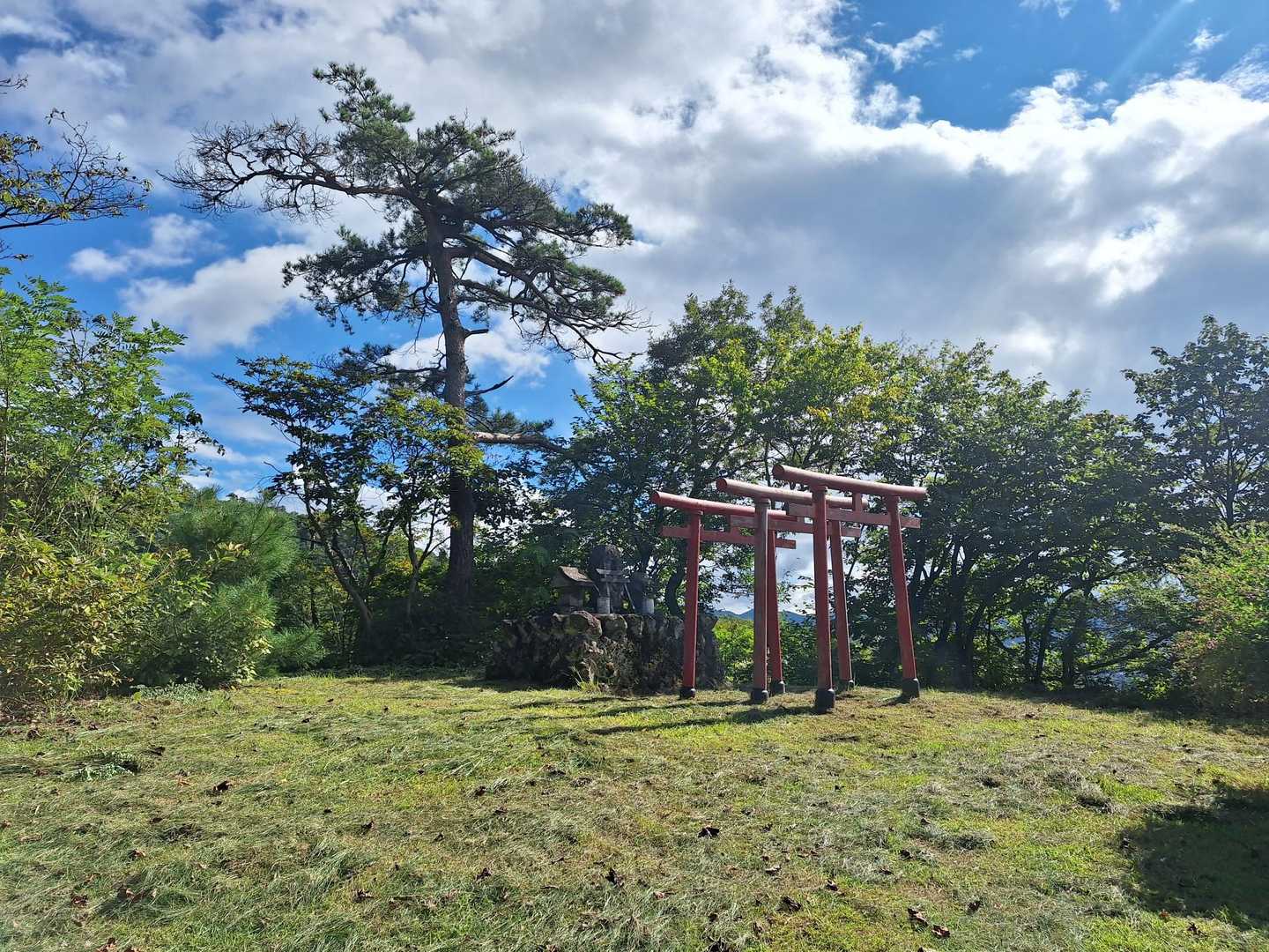 晴れて気分良し☀