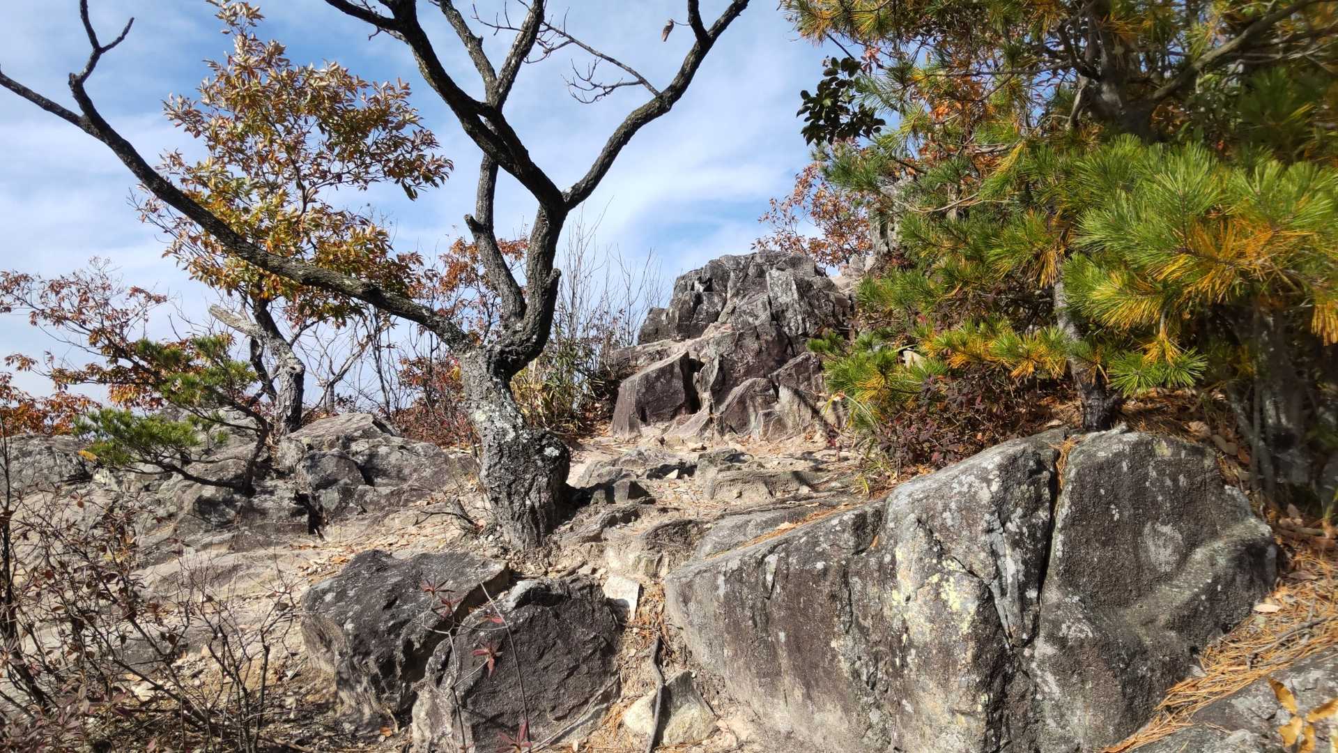太郎坊山(赤神山)到着、岩場の頂上