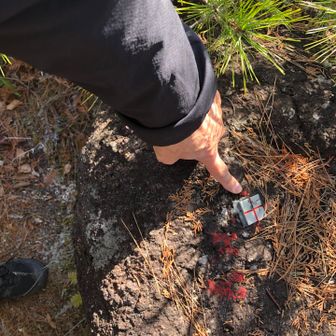 これが山頂標識でしょうか。標高は187mです。