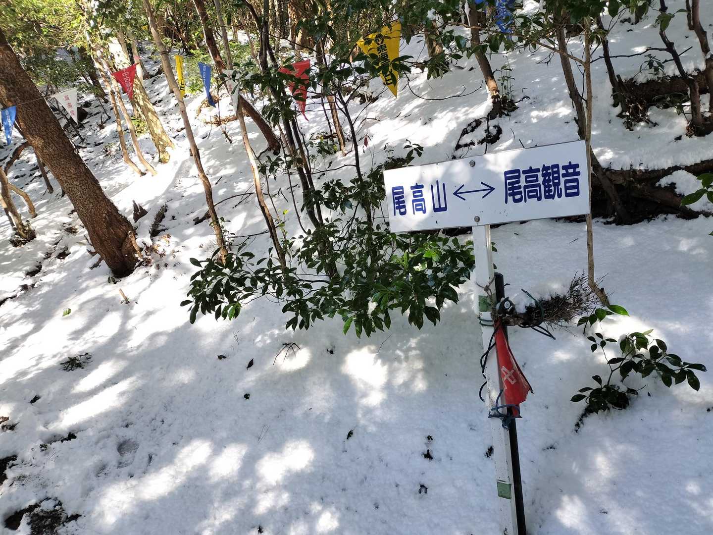 尾高観音-尾高山 往復コースの写真