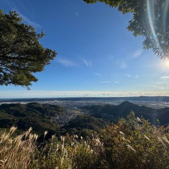 凄い絶景じゃーん✨