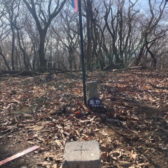 最後のピークが急登だった😂
記録と写真を改めてみてから気づいたけど、山の名前は振野で、振野山じゃないのだ😳