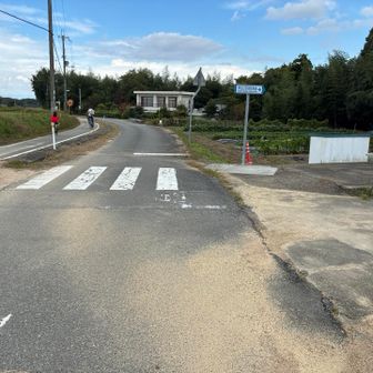 半分くらいは道路を歩きます。