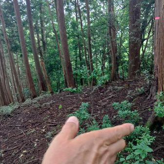 ここも右へ。
