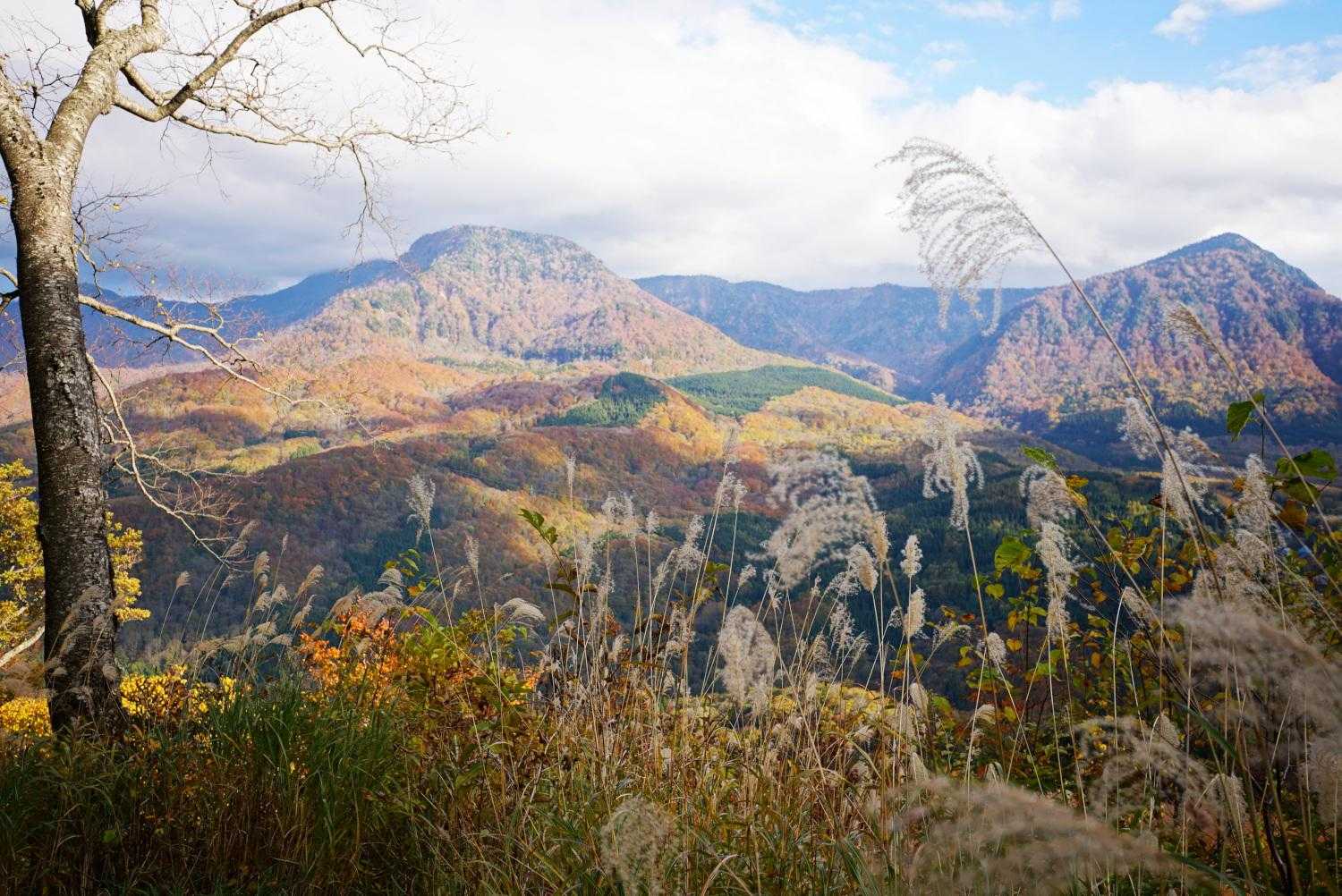 秋山郷、凄過ぎます。