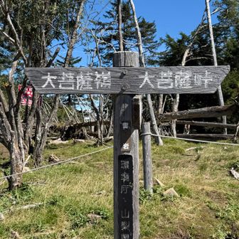 もう少しですね