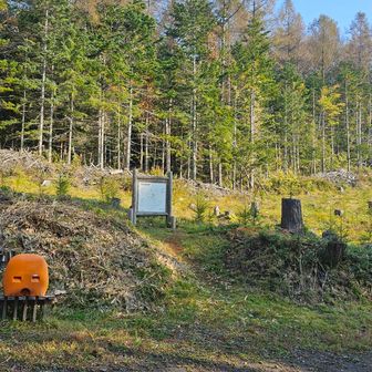 ハロウィーンは関係ないよ