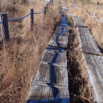 木道に霜が降りた。
日が当たるとともに融けてくるがロープの陰の所だけしばらく残る。
日陰が移っていくので日の当たるところにも霜が見える。