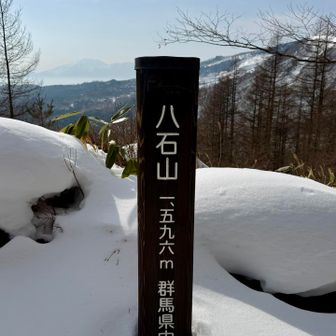 到着〜！
遠くは霞んでるけど標識の左には浅間山
右はカラ松で隠れ気味ですが本白根山（草津白根山）と白根山
空気が澄んでたら眺め良いだろうなぁ〜残念