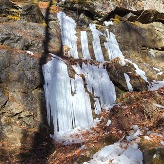 溶けて、落ちてました。