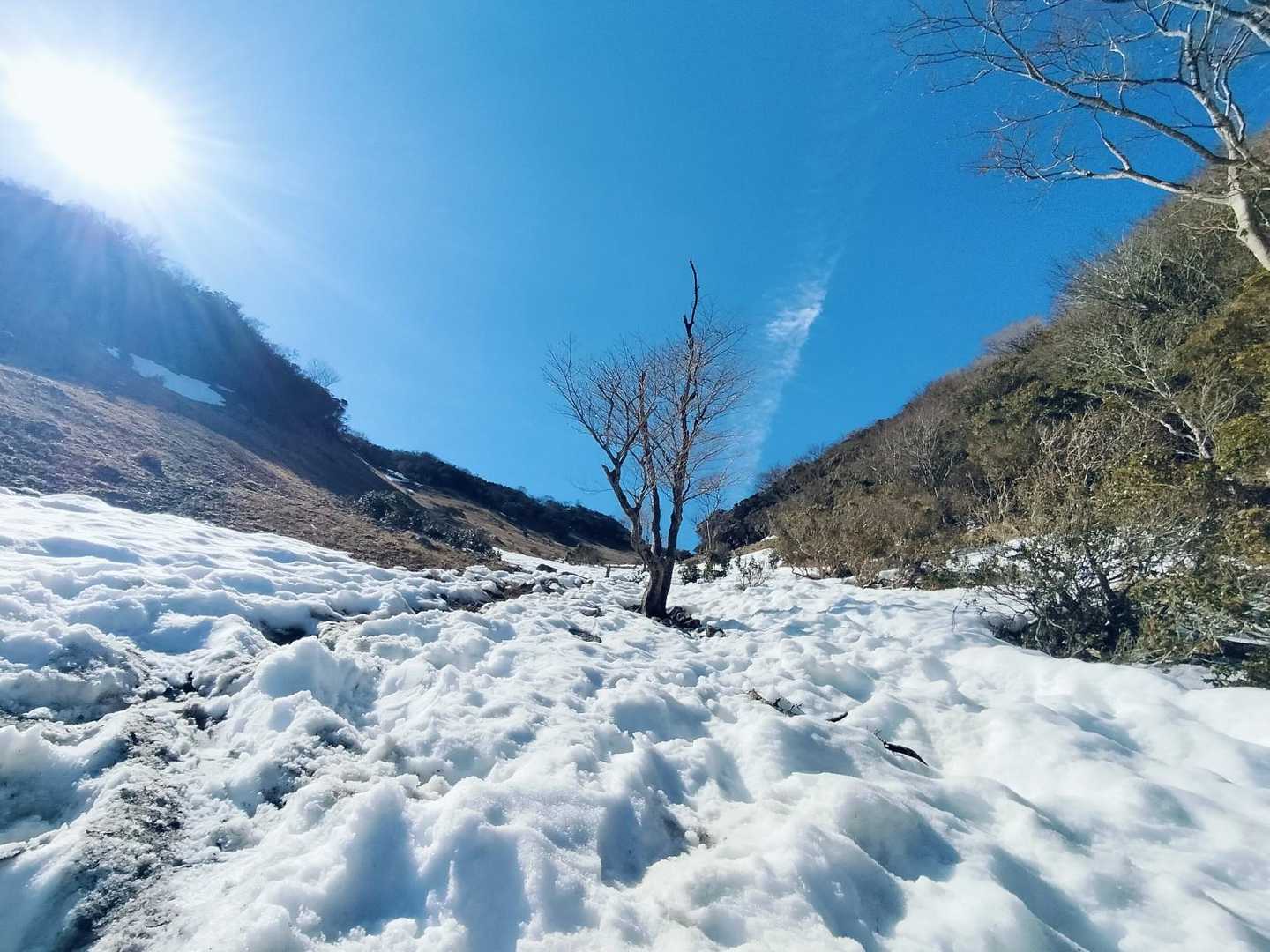 白いとこズボズボしてあそぶ😸