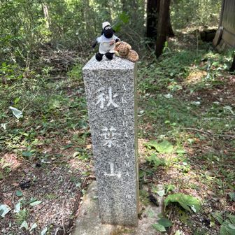 秋葉山頂上