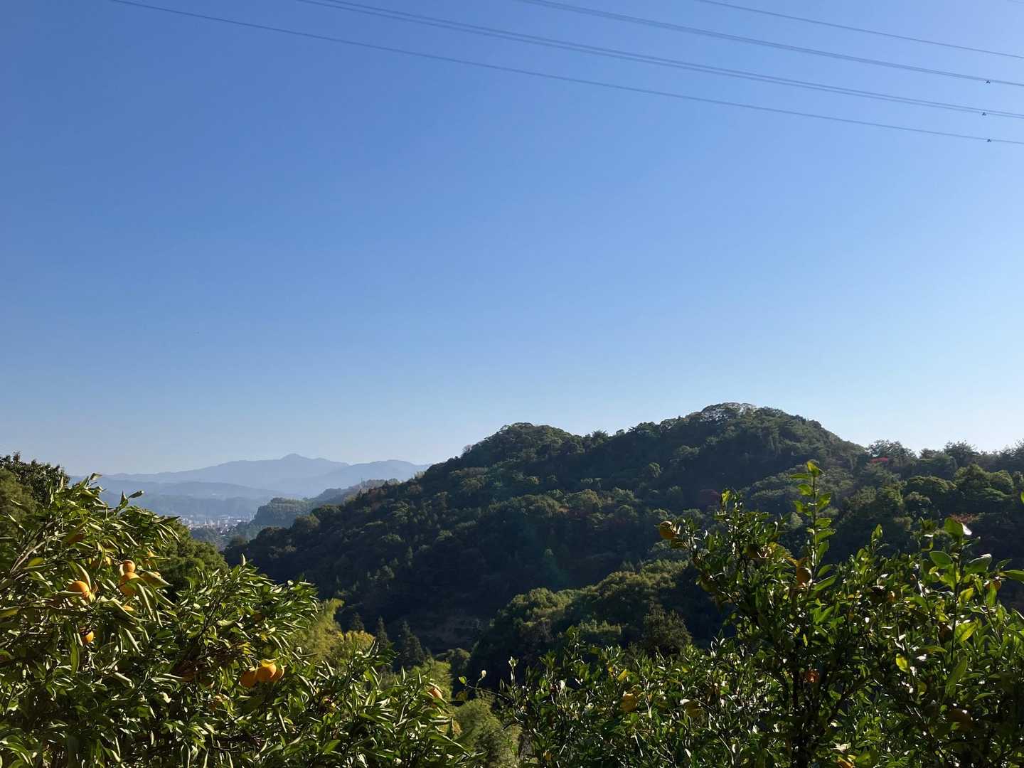 奥は松山市最高峰の明神ヶ森(1,217m)
手前は権現山(117m)