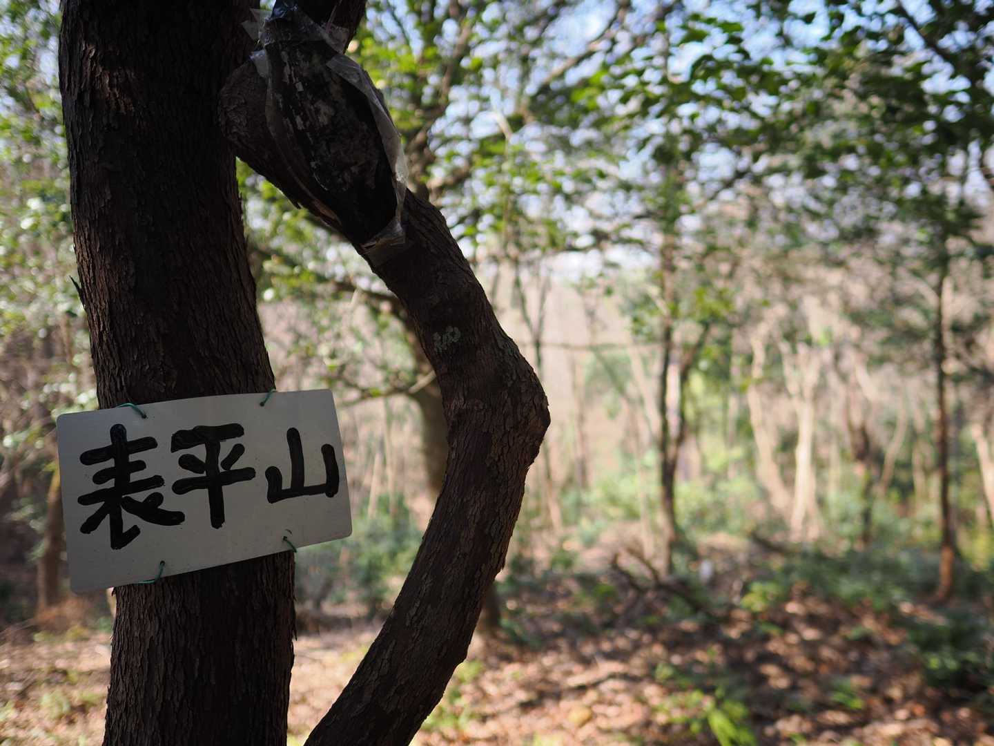 陰平山 周回コースの写真