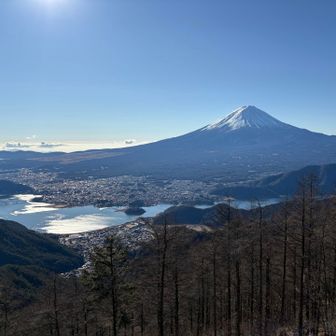 手摺の際まで移動して富士山と河口湖をパチリ📷
左奥に山中湖も見えますね👀
