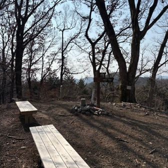 ベンチがキレイ。
山頂標もそうですが最近になって再整備していただけてるんですかね？ありがたいことです