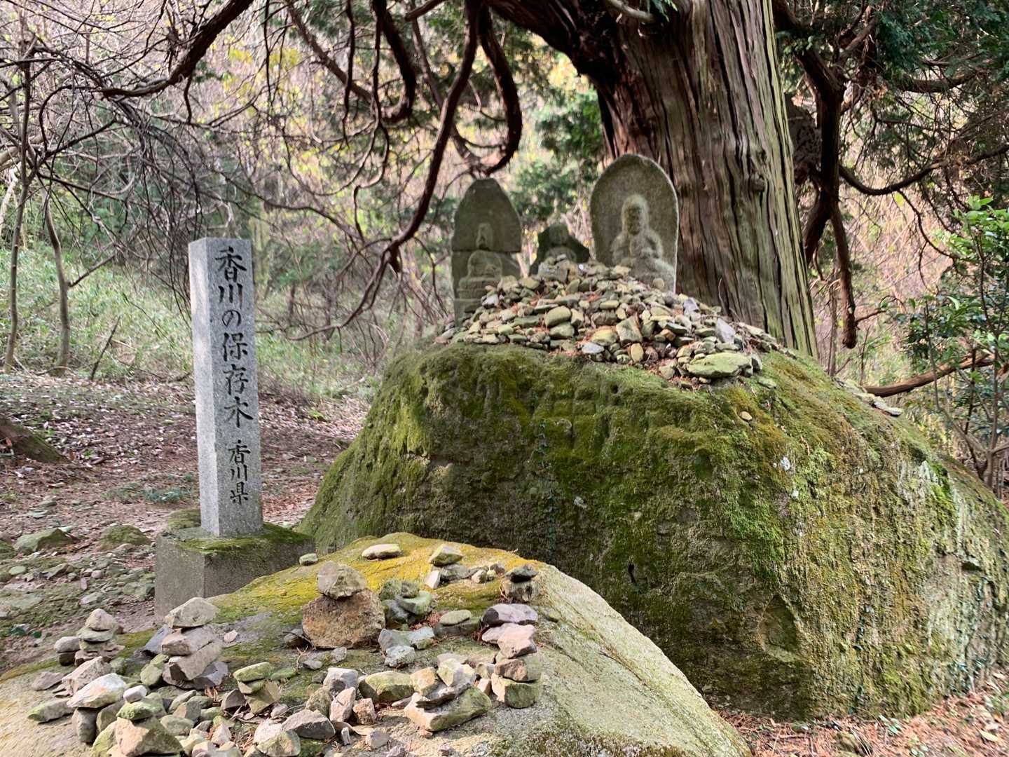 正一位稲荷大明神-香色山-香色山大師堂-筆ノ山-大坂峠-我 周回コースの写真