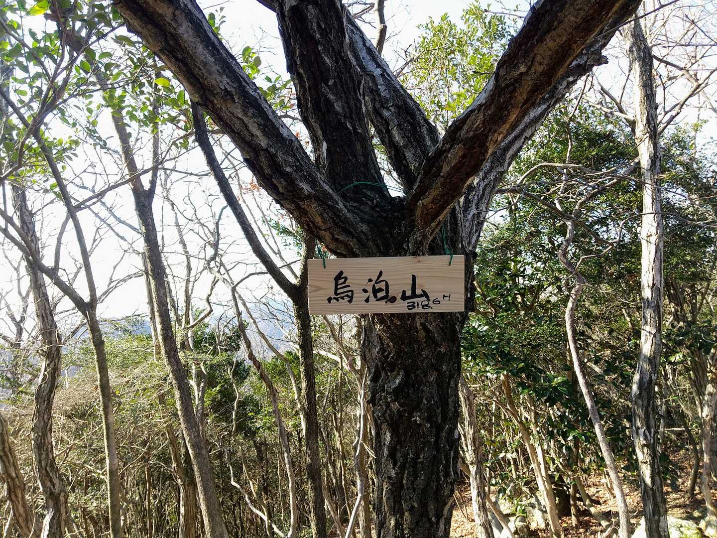 烏泊山は展望は無いです😆
ずっと続く長い階段で山頂に行けます😅
ピークが欲しい方は行ってみて下さい。