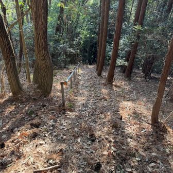 お次は足百ではないですが須花山へ

手すりが設置されていてとても助かる