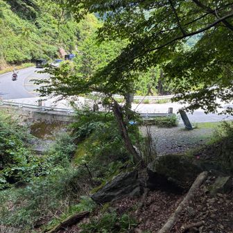 コグルミ谷口へ下山