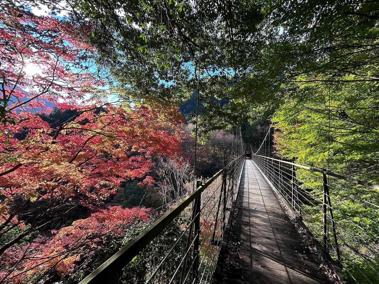 紅葉と吊り橋。
いい組み合わせ♪