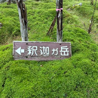 釈迦ヶ岳の標識　コケがキレイ