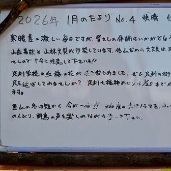 今が低山のハイシーズンだね👍
