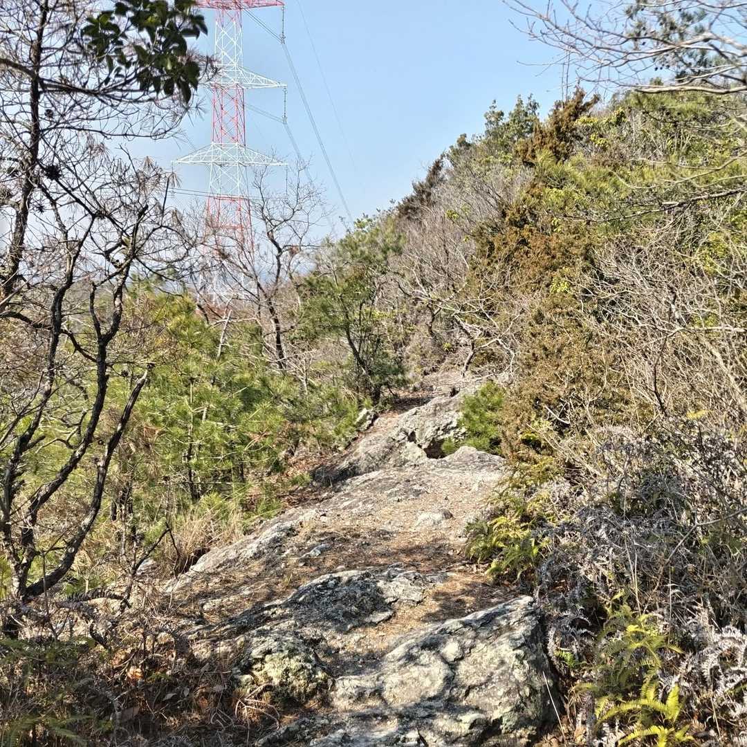岩エリアを進んでいます