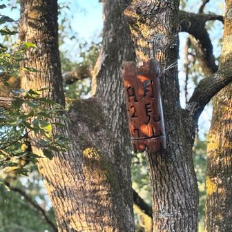 最後に、月見山へ⛰️

この標識が結構お好みです✨