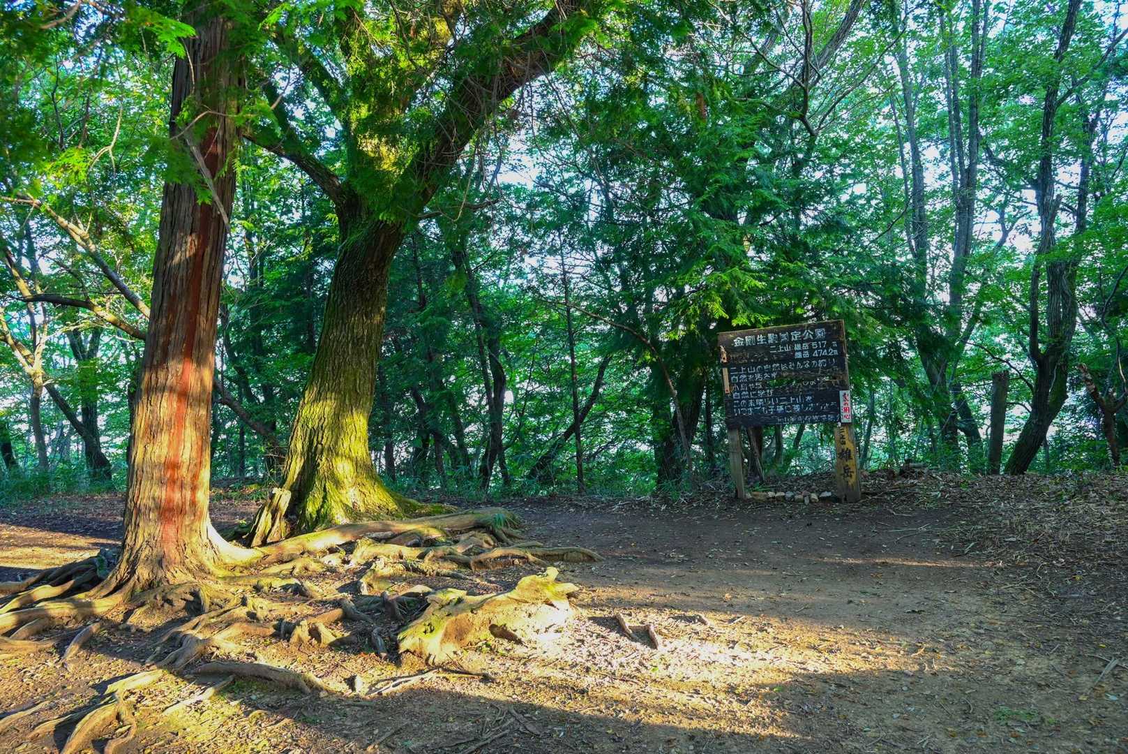 雄岳、到着〜。
看板の裏から出てきました。
