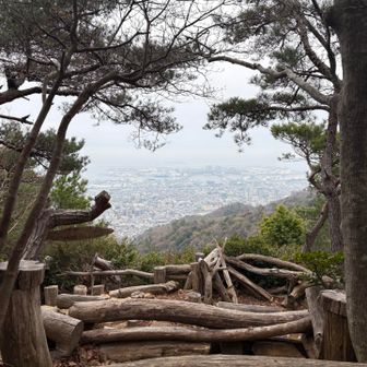 お昼ごはんします