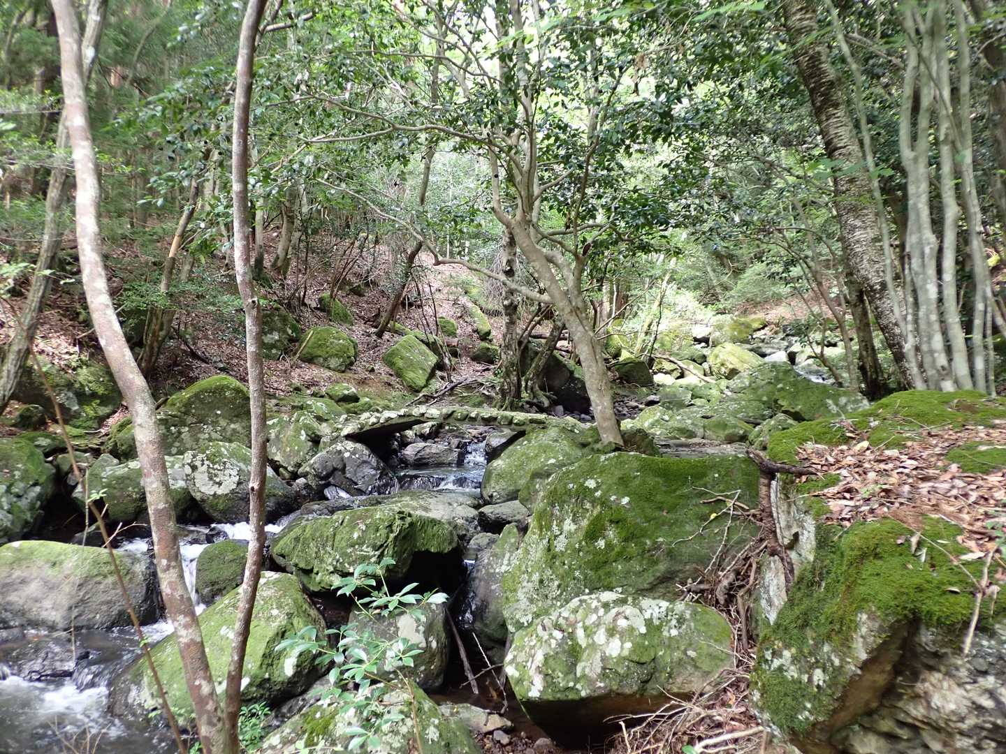 【るり渓】清らかな水の流れと岩や淵が織りなす豊かな景観の写真