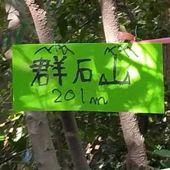 群石山（ぐんせきさん201m）