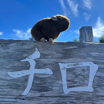👨‍🦱登頂できましたよ👏

🐭素晴らしい眺望です✨ご主人様😍

👨‍🦱......
👨‍🦱君の名前はこれからチロだよ
👨‍🦱気に入ってくれたかな⁉️

🐭もちろん❗️
🐭これからはチロとして、
ご主人様に誠心誠意尽くして参りますね😍

👨‍🦱...
👨‍🦱キャラ設定が適当すぎないか🤣
